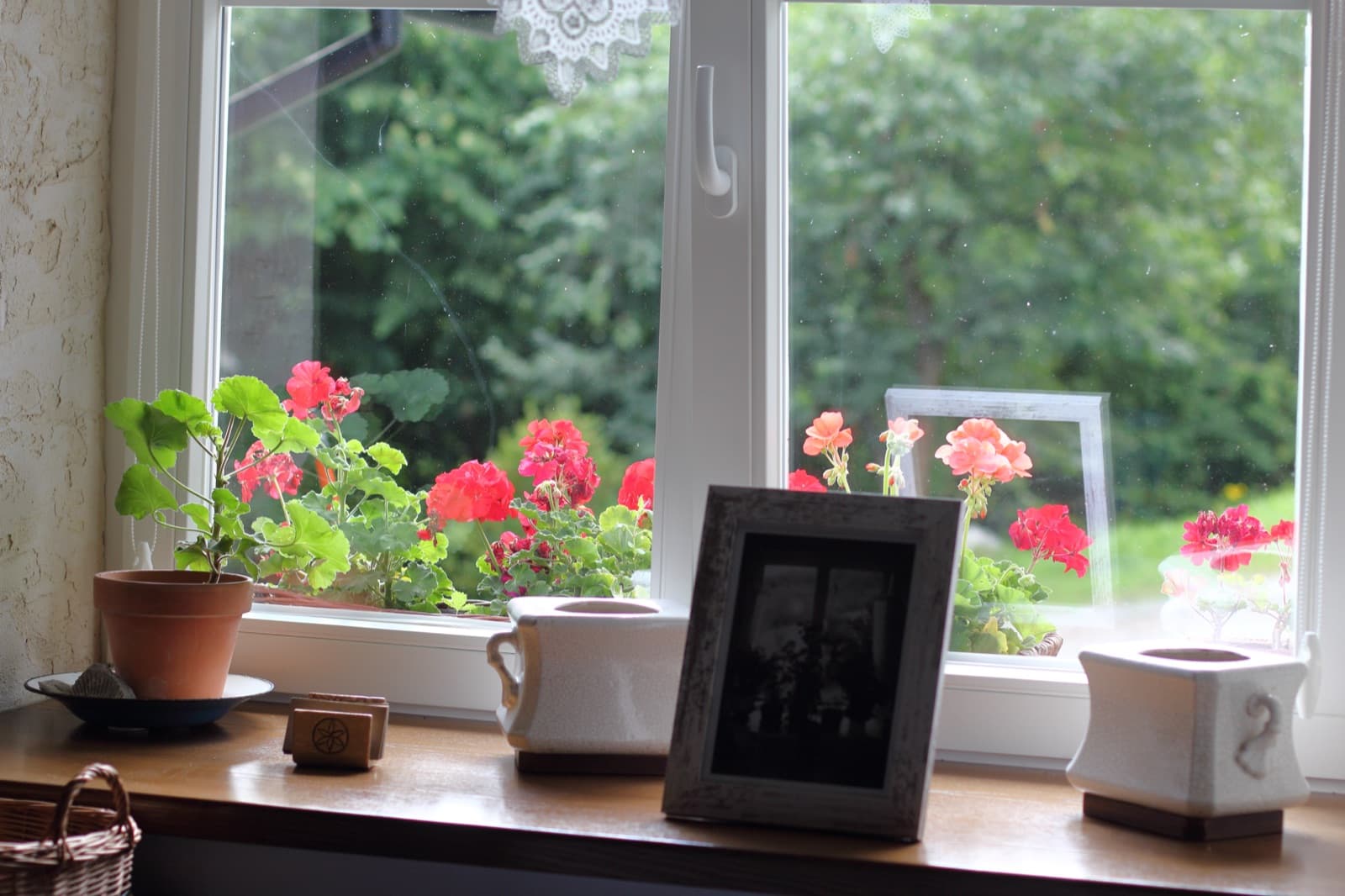Parapet z kwiatami i starą fotografią